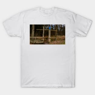 Enter the forest T-Shirt